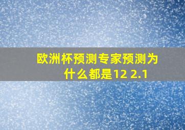 欧洲杯预测专家预测为什么都是12 2.1